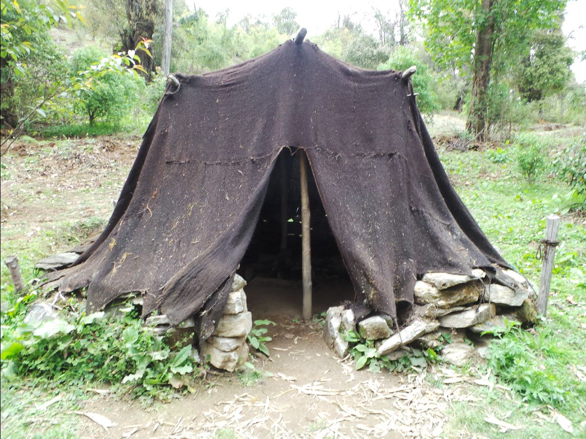 The Royal Botanical Park28